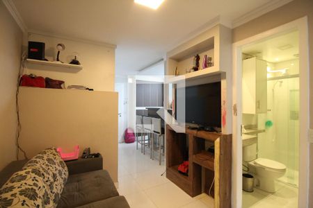 Sala   de apartamento para alugar com 2 quartos, 48m² em Vila Nhocuné, São Paulo