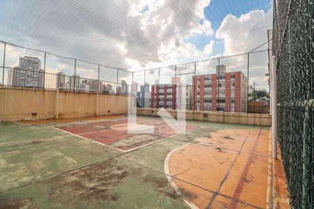 Apartamento para alugar com 72m², 3 quartos e sem vagaQuadra