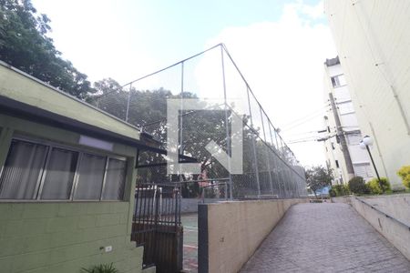 Quadra Esportiva de apartamento para alugar com 2 quartos, 60m² em Limão, São Paulo