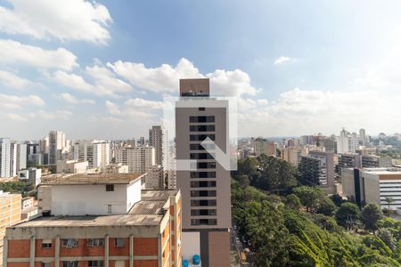 Vista da Varanda de apartamento para alugar com 3 quartos, 92m² em Pinheiros, São Paulo