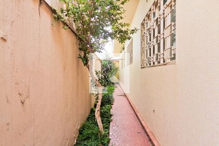 Casa à venda com 513m², 3 quartos e 5 vagasÁrea externa