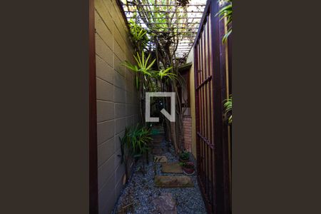 Casa para alugar com 350m², 3 quartos e 2 vagasJardim de Inverno / Viveiro