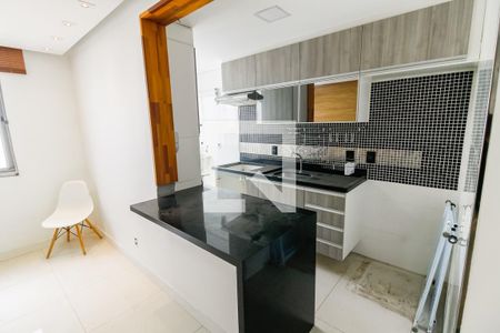 Apartamento para alugar com 42m², 2 quartos e 1 vagaCozinha - Armários