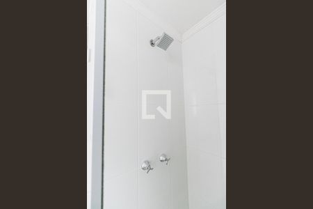 Banheiro de apartamento para alugar com 2 quartos, 41m² em Cidade Líder, São Paulo