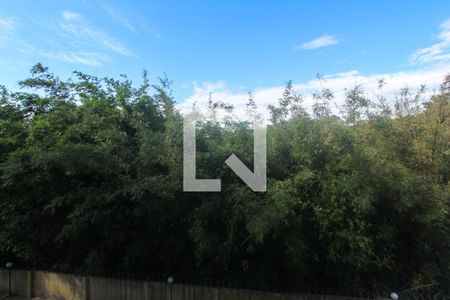 Vista de apartamento para alugar com 2 quartos, 48m² em Protásio Alves, Porto Alegre