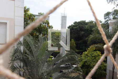 Janela Quarto 1 de apartamento para alugar com 2 quartos, 46m² em Vila Abranches, Ribeirão Preto