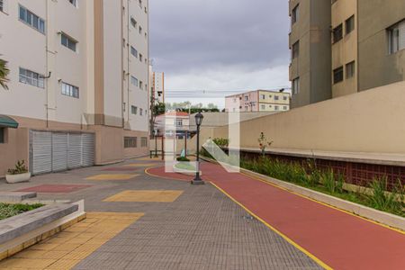 Apartamento à venda com 100m², 3 quartos e 1 vagaPista de caminhada