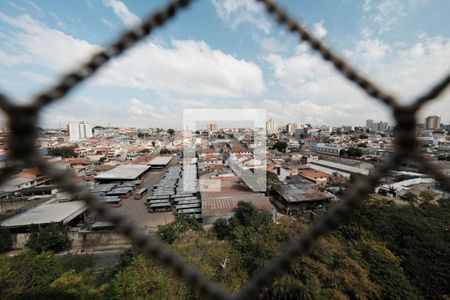 Sala de apartamento à venda com 3 quartos, 65m² em Vila Talarico, São Paulo