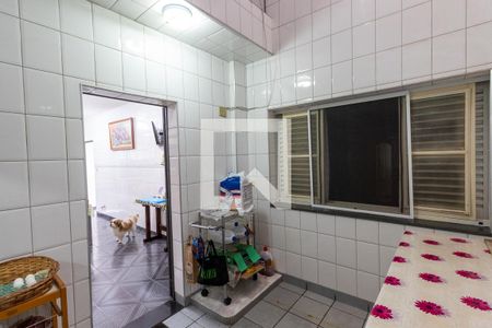 Casa à venda com 356m², 5 quartos e 4 vagasQuintal