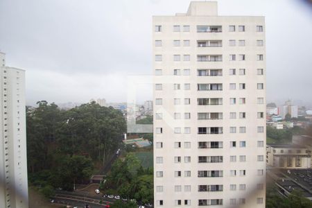 Vista Varanda da Sala de apartamento para alugar com 3 quartos, 84m² em Vila Amélia, São Paulo
