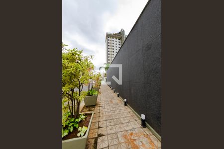 Apartamento à venda com 235m², 3 quartos e 3 vagas Apartamento à venda com 235m², 3 quartos e 3 vagasÁrea comum