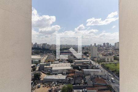 Apartamento para alugar com 70m², 3 quartos e 2 vagas Apartamento para alugar com 70m², 3 quartos e 2 vagasVista da Lavanderia