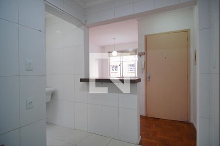 Apartamento para alugar com 48m², 2 quartos e sem vagaCozinha