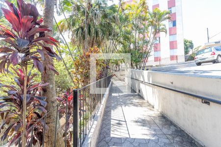 Apartamento para alugar com 70m², 3 quartos e 1 vaga Apartamento para alugar com 70m², 3 quartos e 1 vagaÁrea comum