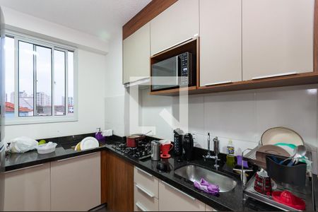 Cozinha de apartamento para alugar com 2 quartos, 34m² em Lapa, São Paulo