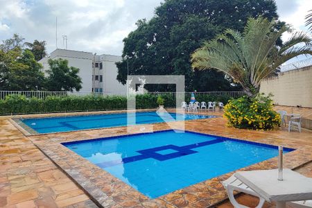 Apartamento à venda com 48m², 2 quartos e 1 vagaÁrea comum - Piscina