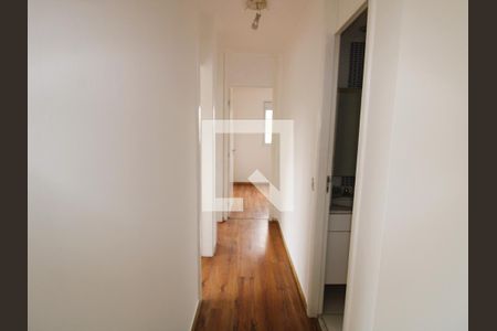 Quarto - Corredor de apartamento para alugar com 3 quartos, 65m² em Parque Novo Mundo, São Paulo