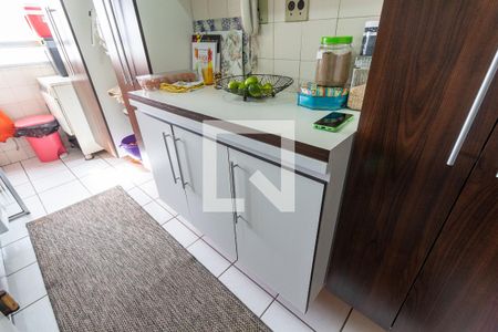 Apartamento para alugar com 50m², 2 quartos e 1 vagaCozinha - Armários