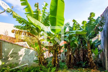 Casa à venda com 216m², 3 quartos e 1 vagaQuintal