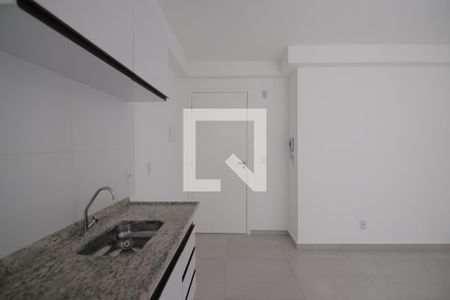 Cozinha de apartamento para alugar com 1 quarto, 30m² em Vila Guilhermina, São Paulo