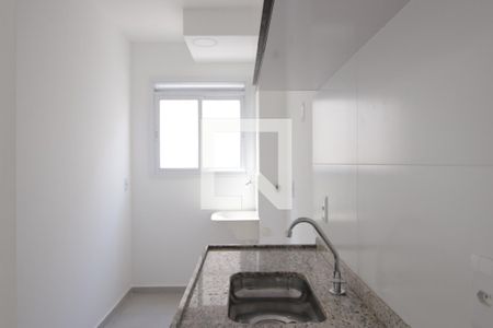Cozinha de apartamento para alugar com 1 quarto, 30m² em Vila Guilhermina, São Paulo