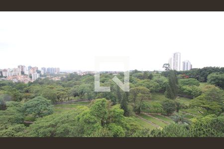 Vista Suíte 2 de apartamento para alugar com 3 quartos, 76m² em Vila Suzana, São Paulo