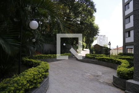 Apartamento para alugar com 69m², 2 quartos e 1 vagaÁrea comum