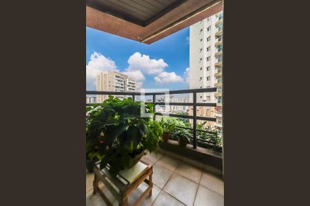 Apartamento à venda com 116m², 3 quartos e 2 vagas Apartamento à venda com 116m², 3 quartos e 2 vagasVaranda Gourmet