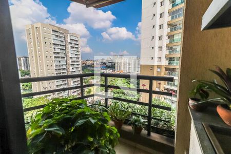 Apartamento à venda com 116m², 3 quartos e 2 vagas Apartamento à venda com 116m², 3 quartos e 2 vagasVaranda Gourmet