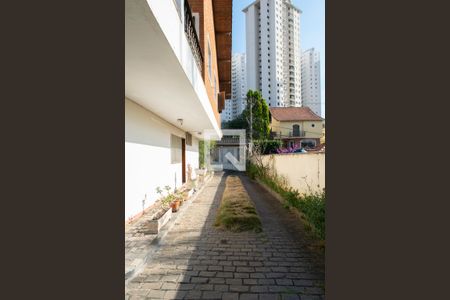 Casa à venda com 985m², 4 quartos e 6 vagasQuintal