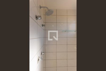 Banheiro da Suíte de apartamento para alugar com 3 quartos, 78m² em Parque Prado, Campinas