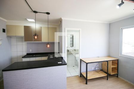 Sala / Quarto de apartamento para alugar com 1 quarto, 24m² em Vila Campanela, São Paulo