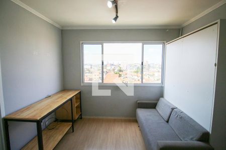 Sala / Quarto de apartamento para alugar com 1 quarto, 24m² em Vila Campanela, São Paulo