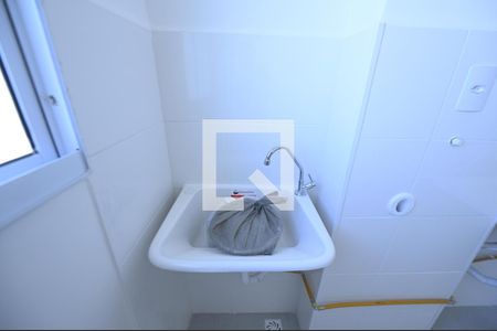 Lavanderia de apartamento para alugar com 2 quartos, 44m² em Chácara São Pedro, Aparecida de Goiânia