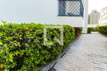 Apartamento para alugar com 50m², 1 quarto e 2 vagasÁrea comum