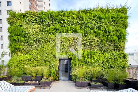 Studio para alugar com 21m², 1 quarto e sem vaga Studio para alugar com 21m², 1 quarto e sem vagaPiscina