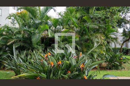 Apartamento à venda com 57m², 3 quartos e 1 vagaÁrea comum