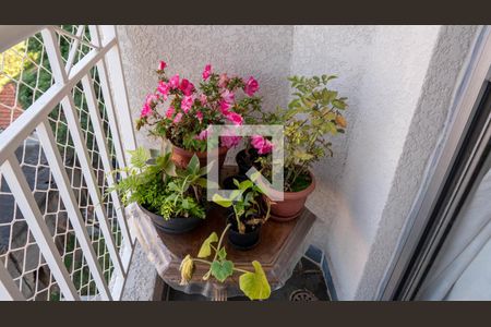 Apartamento à venda com 57m², 3 quartos e 1 vagaVaranda