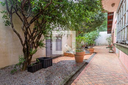 Casa à venda com 980m², 5 quartos e 9 vagasQuintal