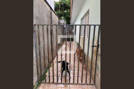 Casa para alugar com 180m², 4 quartos e sem vagaCanil