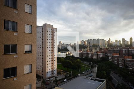 Vista da suíte de apartamento para alugar com 1 quarto, 24m² em Paraíso do Morumbi, São Paulo