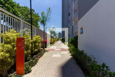 Apartamento para alugar com 24m², 1 quarto e sem vaga Apartamento para alugar com 24m², 1 quarto e sem vagaÁrea comum