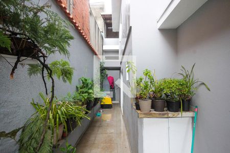 Casa à venda com 130m², 4 quartos e 2 vagas Casa à venda com 130m², 4 quartos e 2 vagascorredor lateral