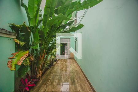 Casa à venda com 318m², 4 quartos e 4 vagasQuintal