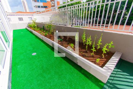 Apartamento para alugar com 30m², 1 quarto e sem vagaÁrea comum - Horta