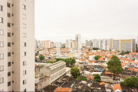 Vista de apartamento para alugar com 2 quartos, 50m² em Vila Moreira, São Paulo