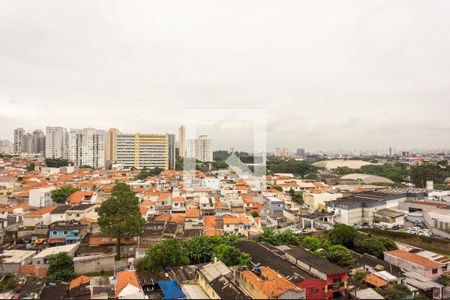 Vista de apartamento para alugar com 2 quartos, 50m² em Vila Moreira, São Paulo