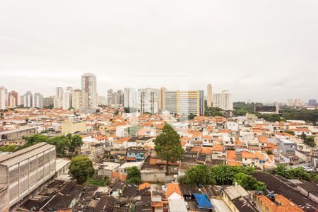 Vista de apartamento para alugar com 2 quartos, 50m² em Vila Moreira, São Paulo