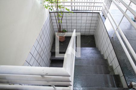 Casa à venda com 386m², 9 quartos e 4 vagasEscada - Garagem