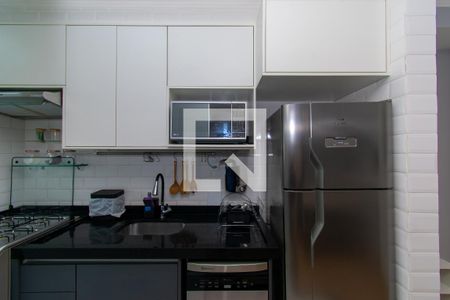 Cozinha de apartamento para alugar com 1 quarto, 36m² em Quinta da Paineira, São Paulo